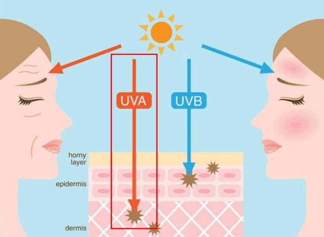 会护肤的女人难变老,会保养护肤的女人多厉害