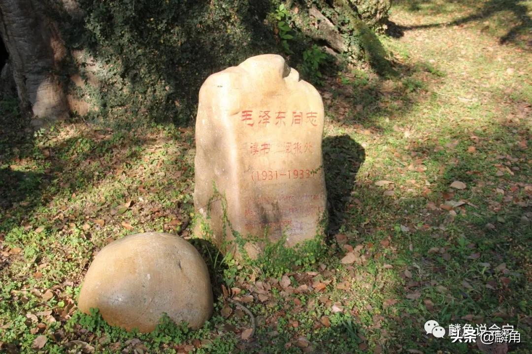 瑞金共和国摇篮景区的感受,瑞金共和国摇篮景区一日游