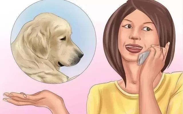 狗狗中暑后好几个小时站不起来,狗狗中暑症状和解救方法及其价格