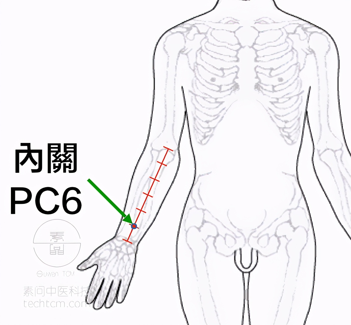 中医针灸推拿能治癌症吗,艾灸针灸拔罐刮痧之间的区别