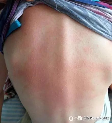 中国校服为啥那么难看,中国校服品牌问题