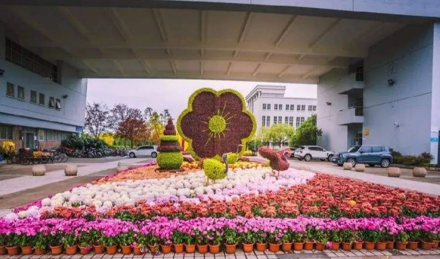 上海被低估的国际化学校,上海大学为啥被称为魔都良心大学