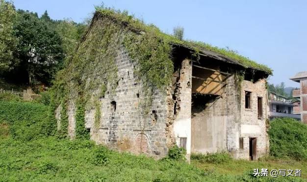 萍乡长丰景色,萍乡长丰梯田