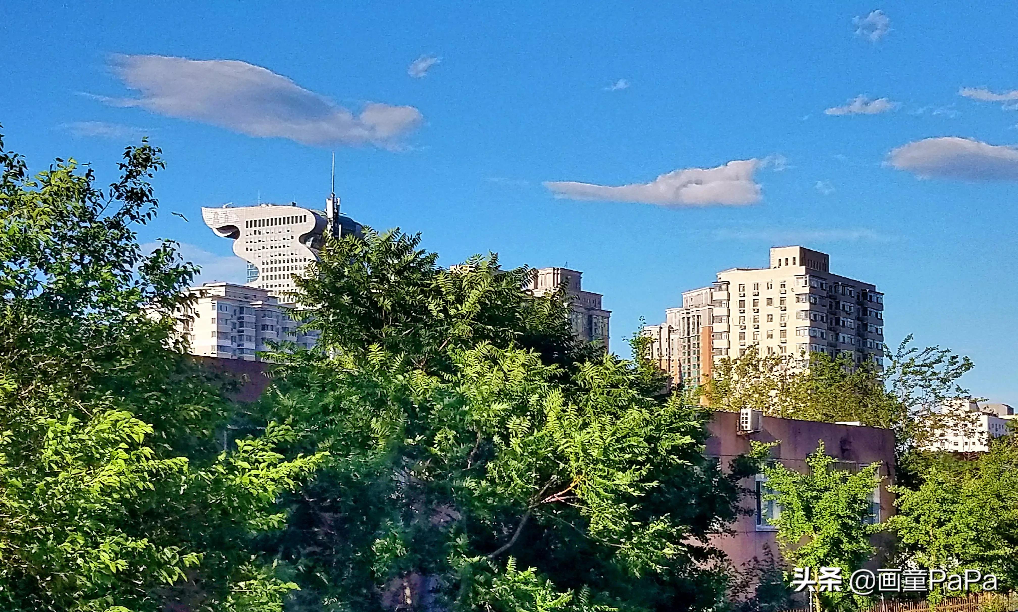 *今条头日**“特赐黄马褂”，彰显创作者身份尊贵的象征