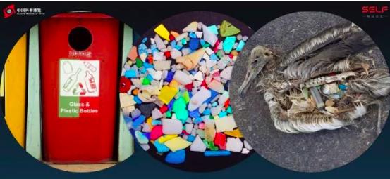 塑料大概多少年才能在自然界降解,塑料究竟可以降解吗