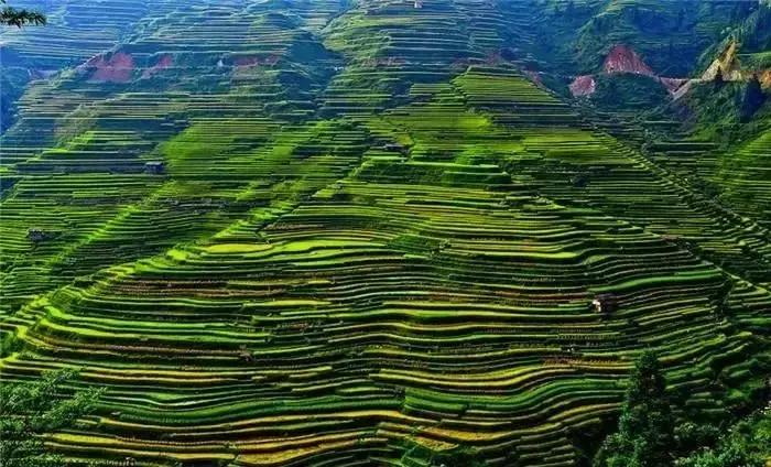 自驾游四川宜宾到贵州旅游攻略,贵州自由行旅游攻略最佳线路