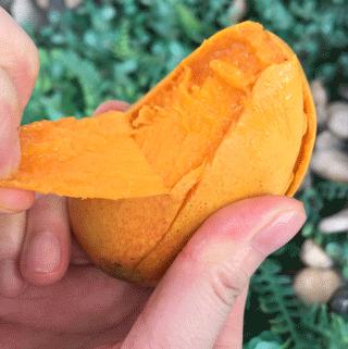 小台芒香甜滑嫩甜而不腻,台芒香甜多汁2.5斤