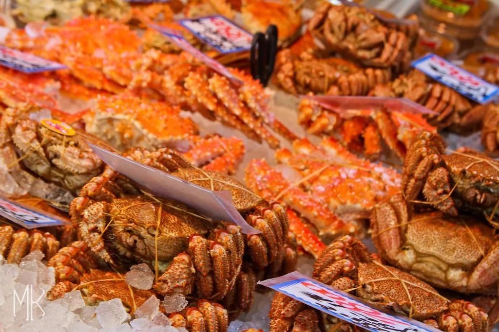 北海道十日游路线,夏日北海道9天自由行