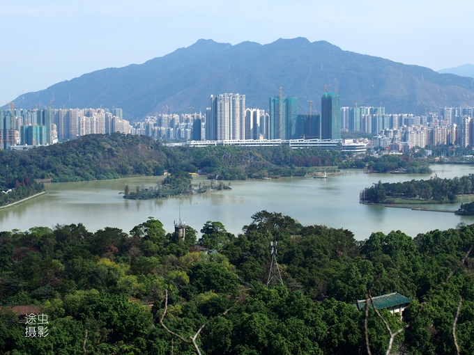肇庆湿地公园美景图,肇庆星湖湿地生态旅游景区
