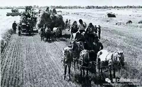 建设兵团1974年老照片,生产建设兵团老照片