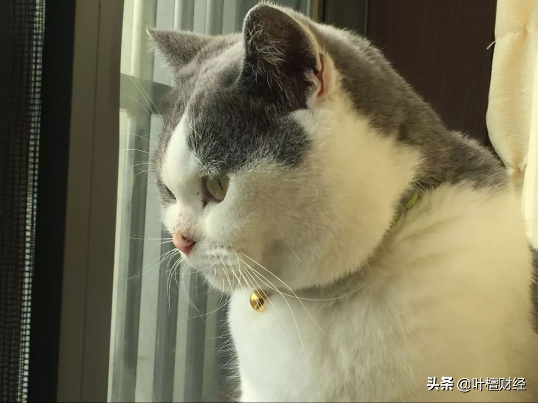 万科集团和保利,保利和万科的现状