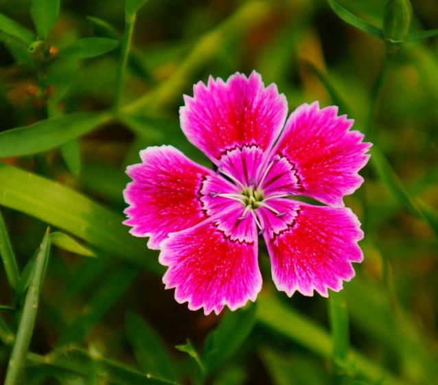 家庭不祥的四种信号,一个家庭一旦出现这3个征兆