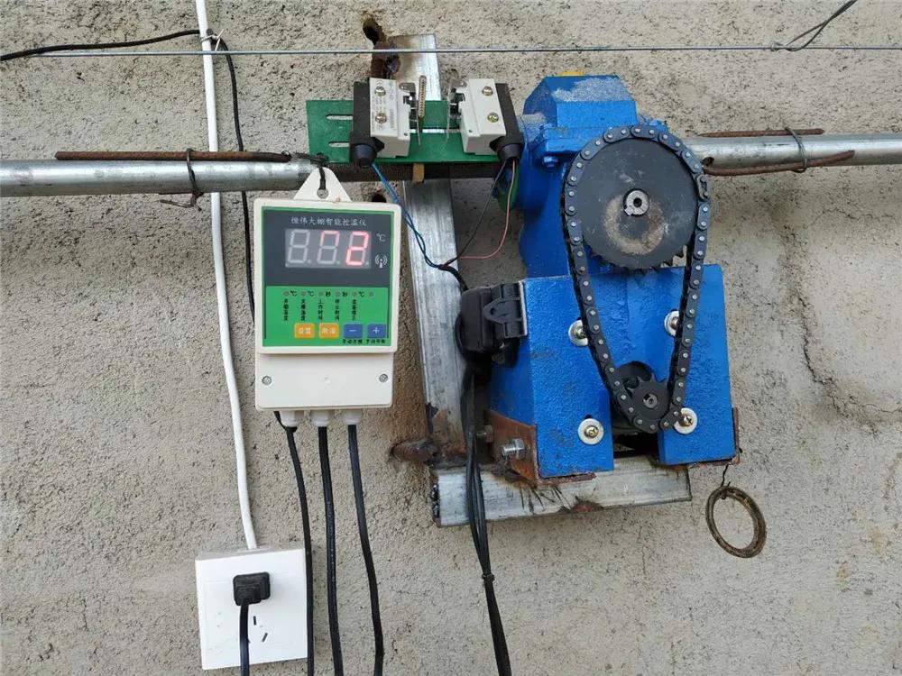 文登区葛家镇：现代高效农业播“绿”成“金”