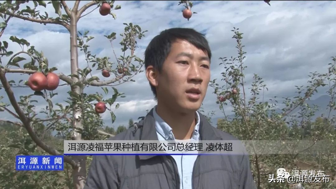 农特产品电商市场情况,农特产品电商运营