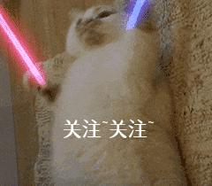 狗狗爆冲乱跑怎么纠正,狗狗见到其他狗爆冲怎么制止