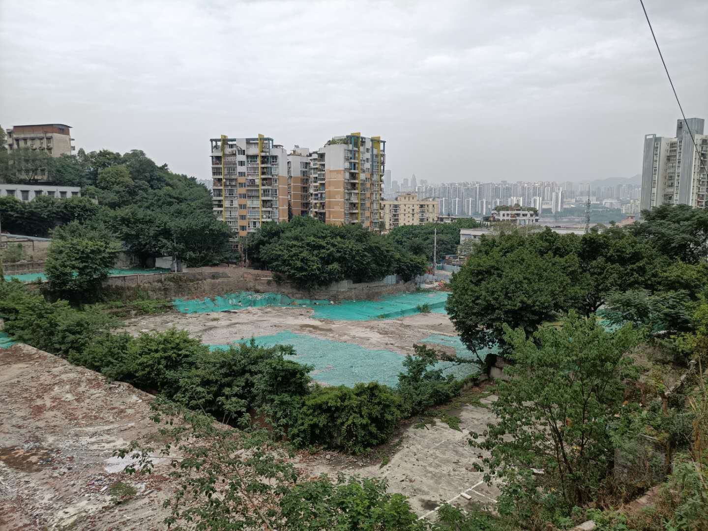 九龙半岛的利好,九龙半岛利好