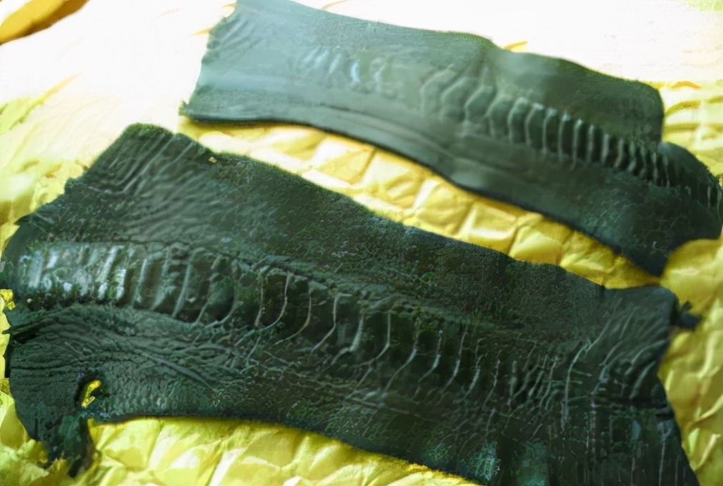 养殖鸵鸟致富,农村致富好帮手鸵鸟养殖