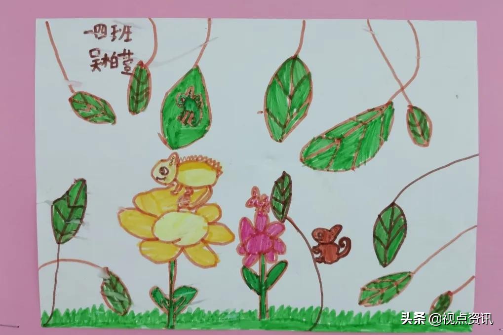 彩色的梦书法家,彩色的梦清华附小