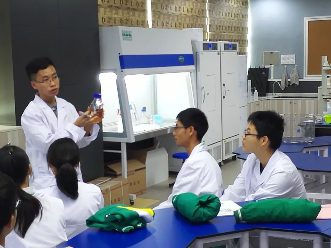 高考735分能读什么学校,735分考生选专业