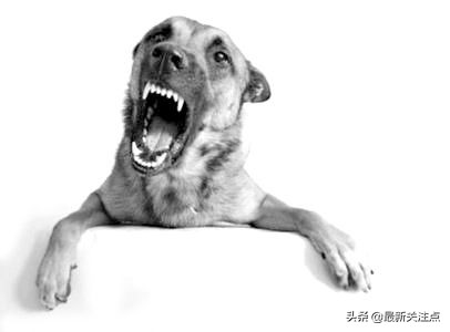 命犯天狗星怎样破解,命犯天狗星怎么破解