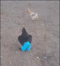 最能挨揍的男人,男人能有多抗揍