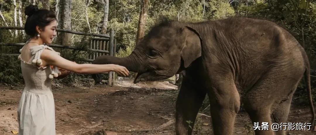 介绍一下云南的西双版纳,云南西双版纳的介绍景点