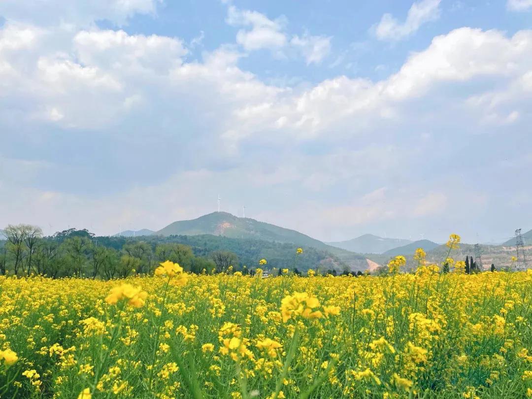 昆明亲子游自驾游攻略推荐路线,昆明周末亲子游十大好去处