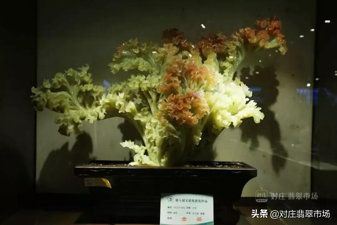 第十二届玉星奖,第十二届玉星奖作品