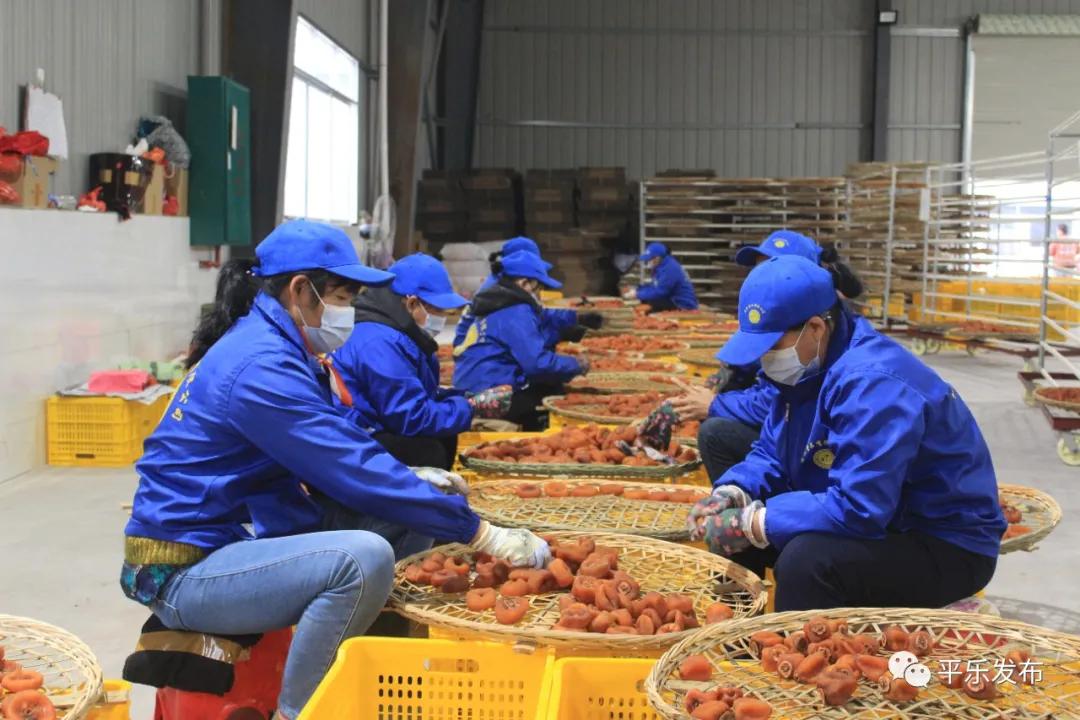 脱贫感党恩奋进新起点内容,脱贫感党恩奋进新起点微视频