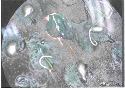 苹果6白苹果重启刷机报错4013,苹果6刷机报错4014维修案例