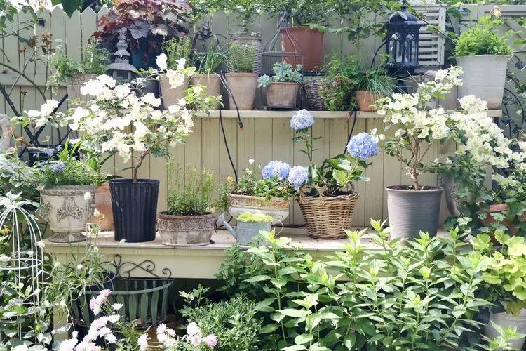 三年前买了套绿地110平三房130万,三年前耗资百万打造小院出售