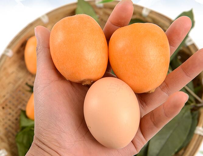 这5种四川特色美食你知道几个,四川特产麻辣下饭菜开胃菜猪尾巴