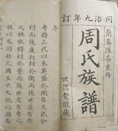 历史上真实族谱,历史遗留族谱