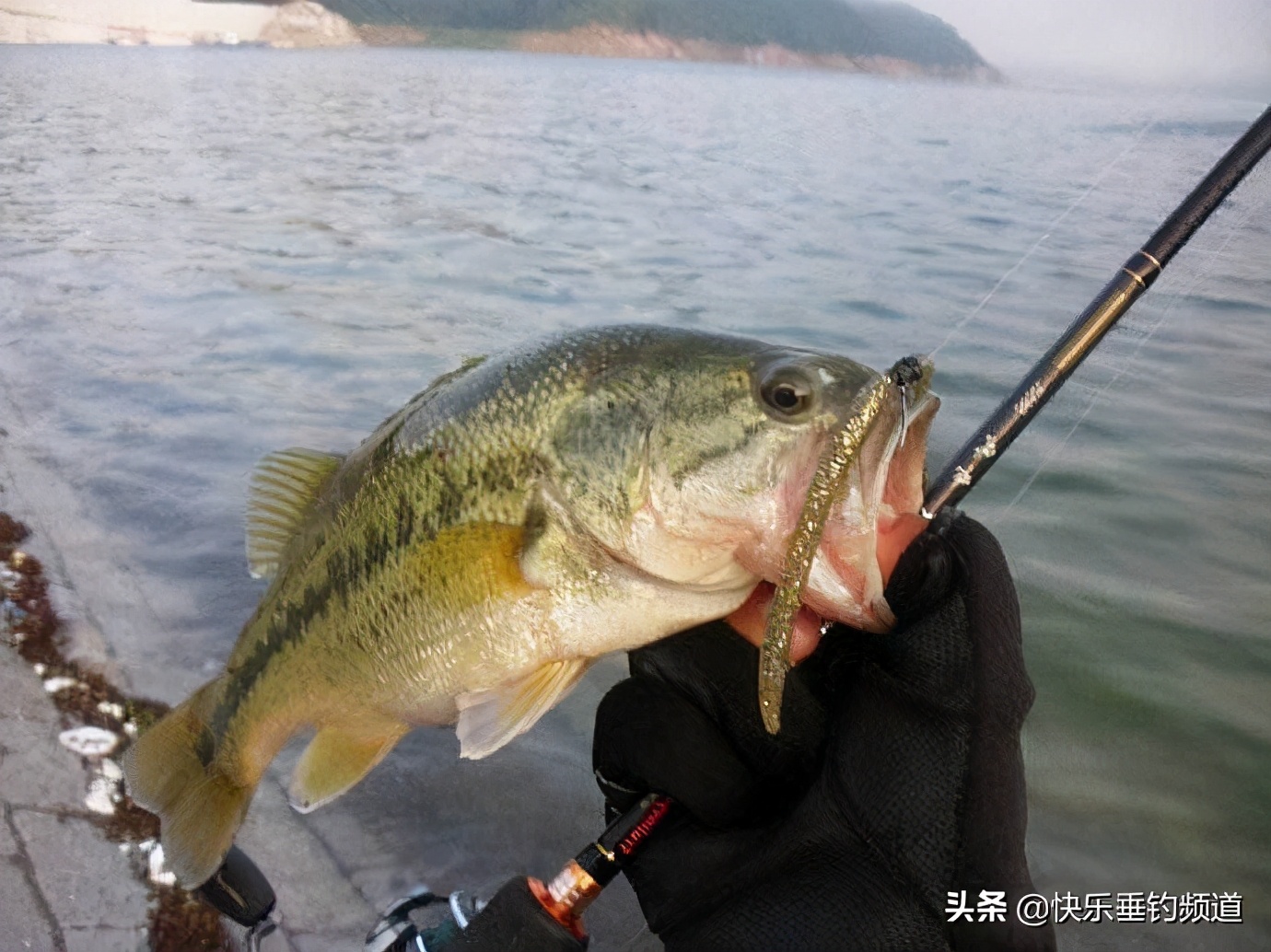 钓鲈鱼的控饵方法和技巧,无铅钓组钓鲈鱼的正确手法
