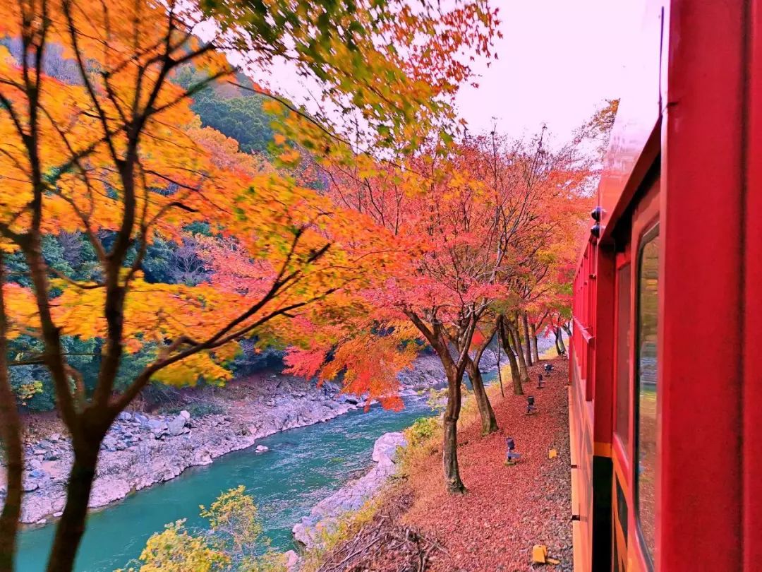 岚山哪有好玩的,日照岚山区值得去吗