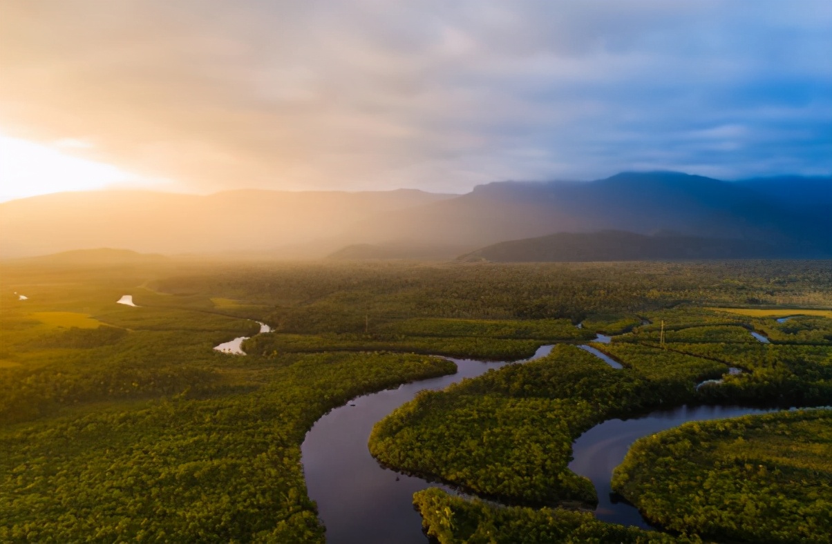 中国人吃一块肉,中国人吃肉对亚马逊雨林有影响