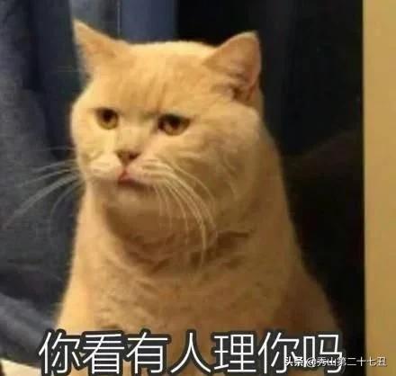 开心一笑：发给妻子的消息错发给女经理，经理的回复亮了