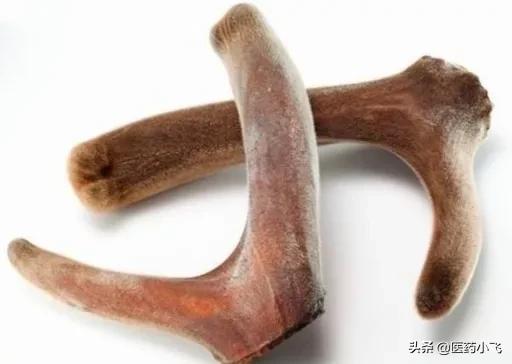 鹿茸滋补干货,每日认识一味药材鹿茸
