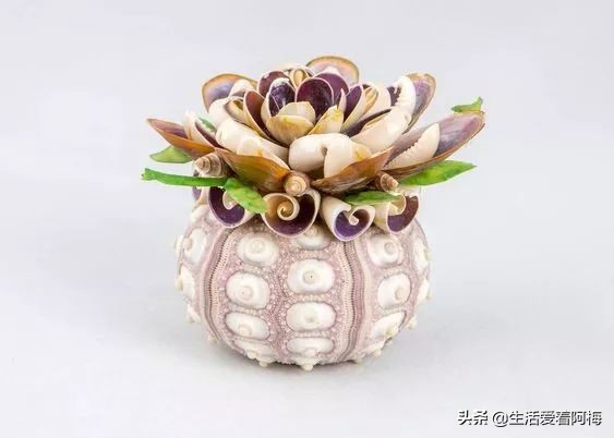 在贝壳里做上好看的装饰,简单的贝壳的工艺品