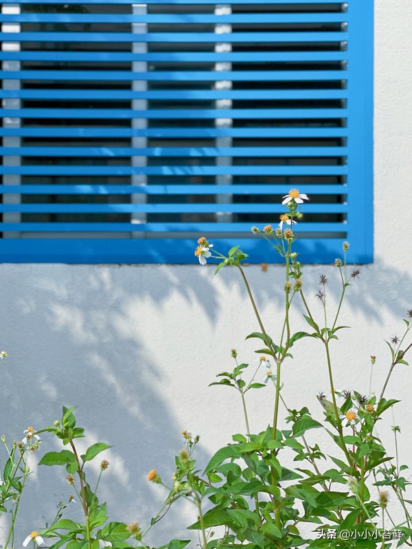 三亚吃住行,三亚自由行海边住宿攻略