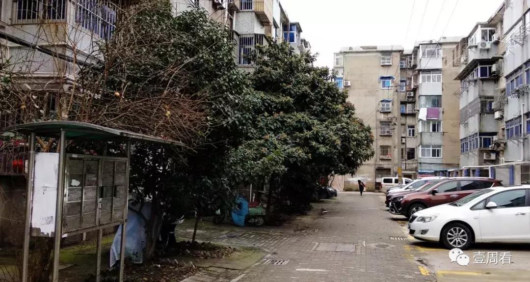 扬州老小区加装电梯工人费用,扬州老小区加装电梯