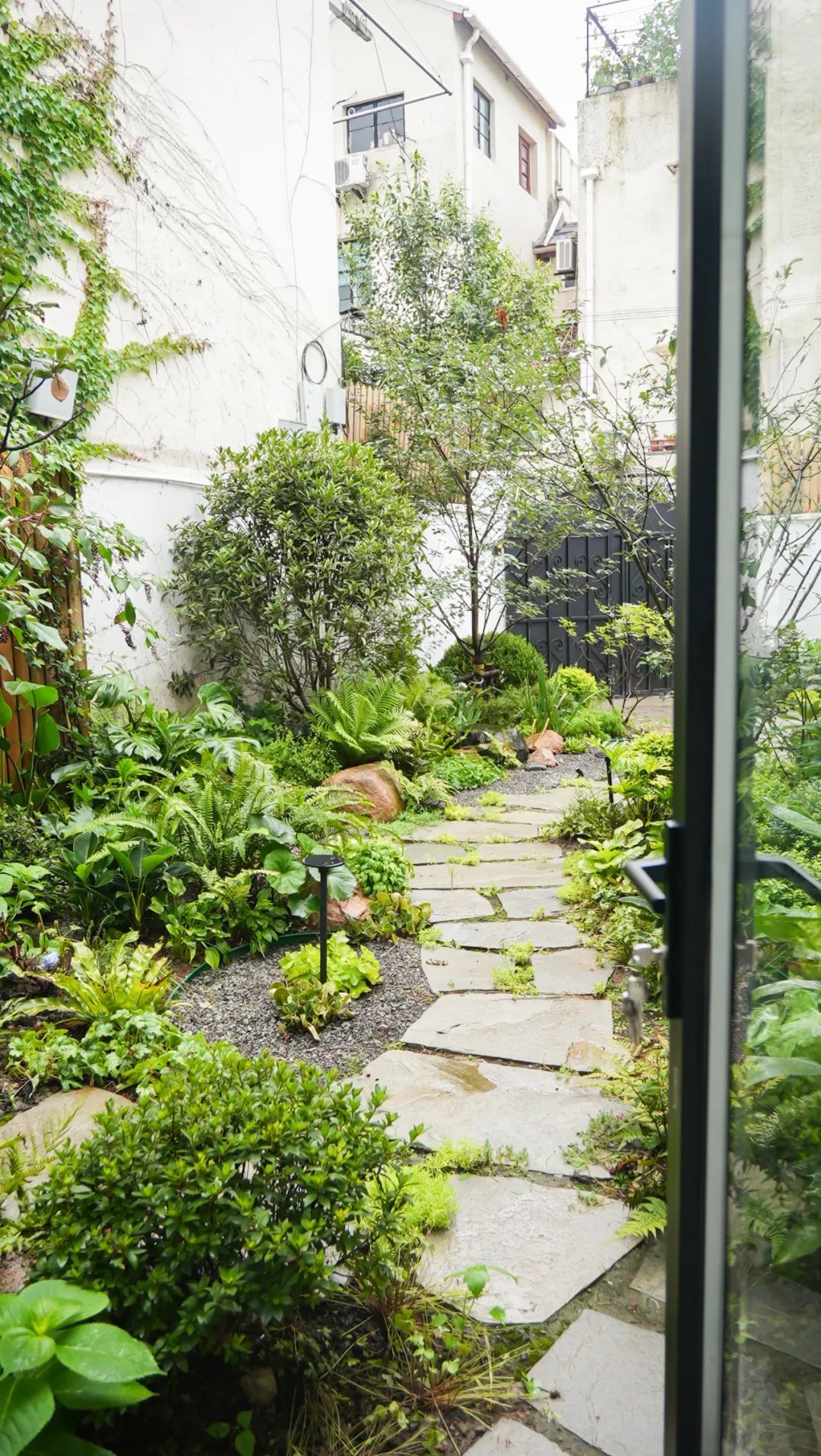 住在上海闹市400平的房子里，花开不败，开窗见池塘，太羡慕了