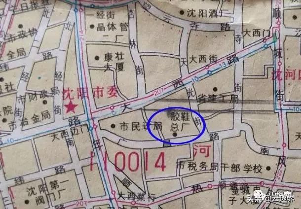 这里真的有杏林吗？揭开杏林街与南杏林街的秘密