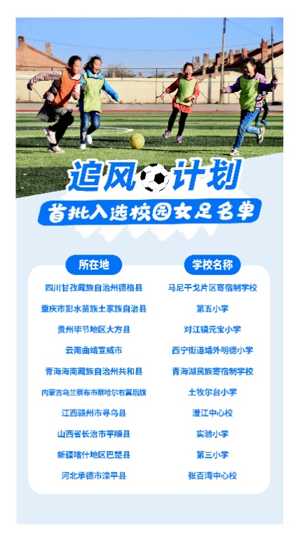 孙雯踢足球,孙雯评价