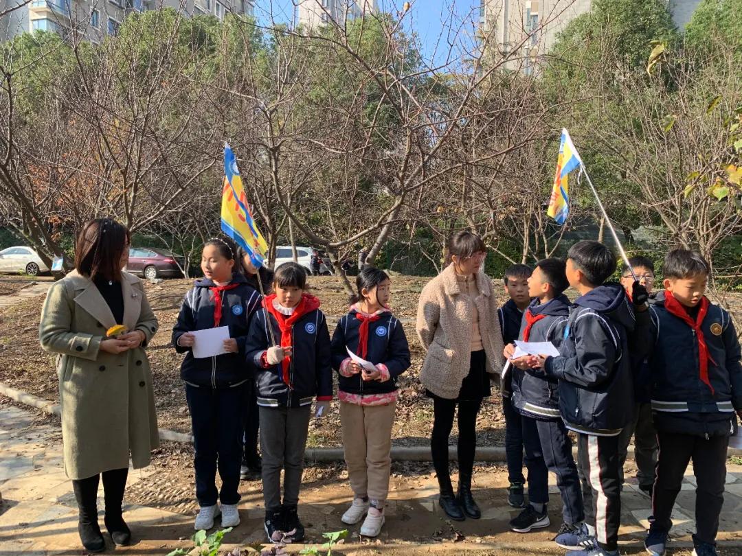 南京比较好的小学学校排名,南京名校小学最新排名