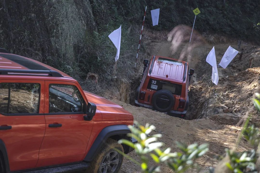 一键启动时光机，敢不敢穿梭回2020年伊始......