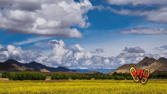 藏西有什么特色,藏戏的特点