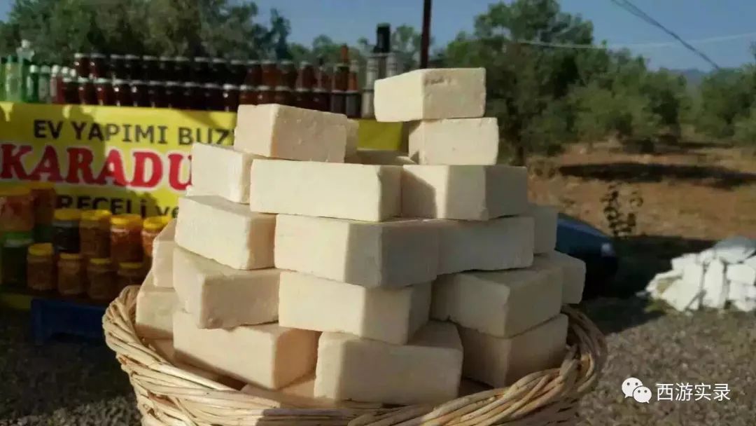 她永远离开了我小说,她永远离开了我小说在哪看