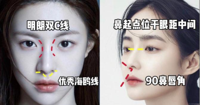 好看的鼻子类型驼峰鼻,好看的鼻型有哪几种