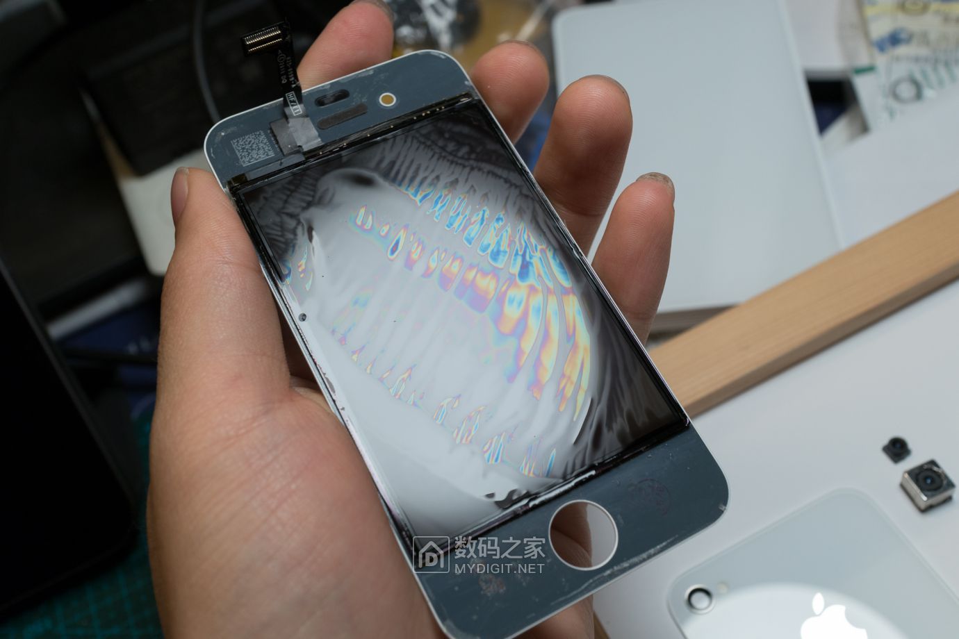 把未拆封的iphone4做成标本,iphone4被做成标本